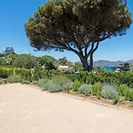 Paja Saint-Tropez